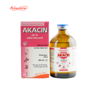 AKACIN 09 1