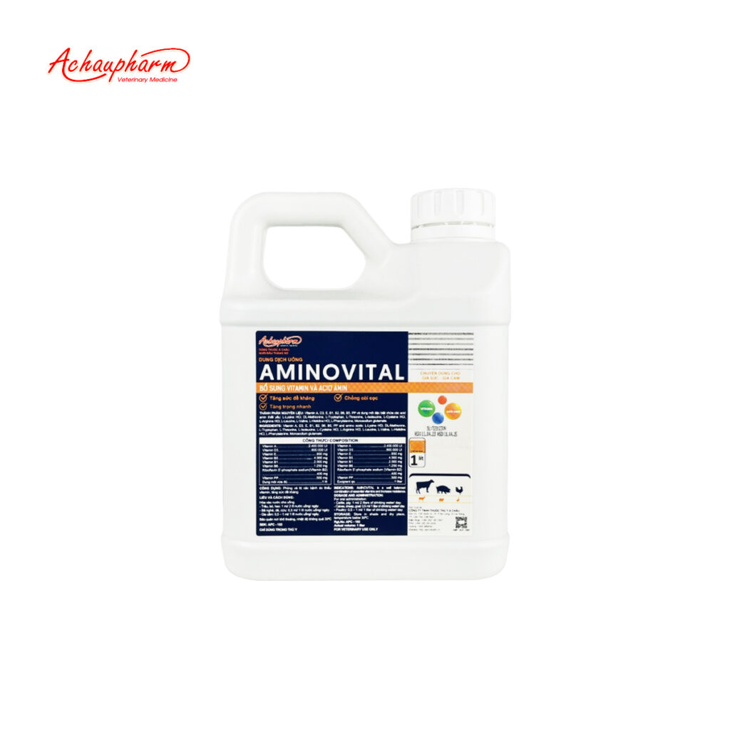 AMINOVITAL 01