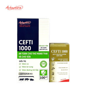 CEFTI 1000