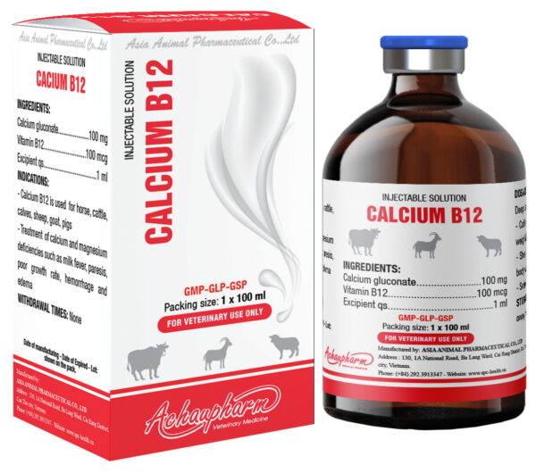 Calcium B12