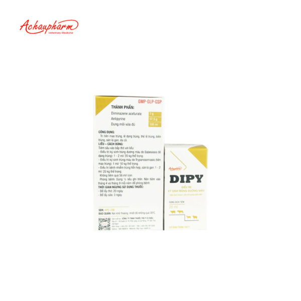 DIPY 03