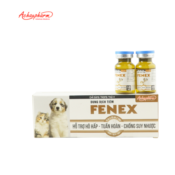 FENEX 1