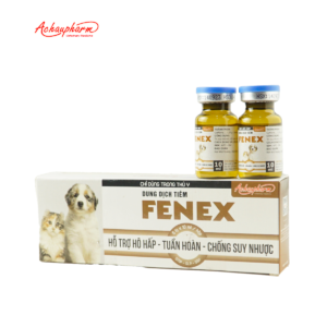 FENEX 2