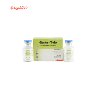 GENTA TYLO 02