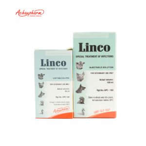 LINCO 04