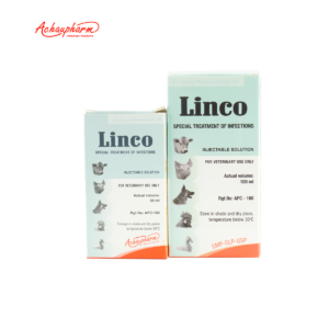 LINCO 09