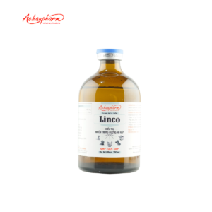 LINCO 11