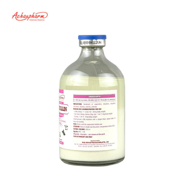 PENICILIN 04