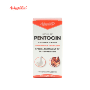 PENTOCIN 04