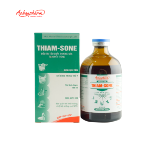 THIAM SONE 04