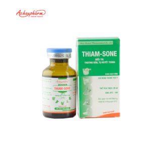 THIAM SONE 05