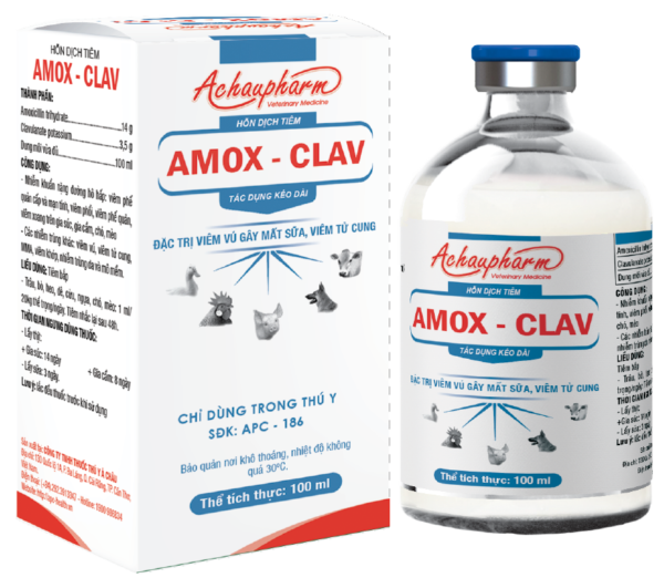 amox clav100