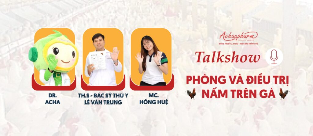 Anh bia talkshow