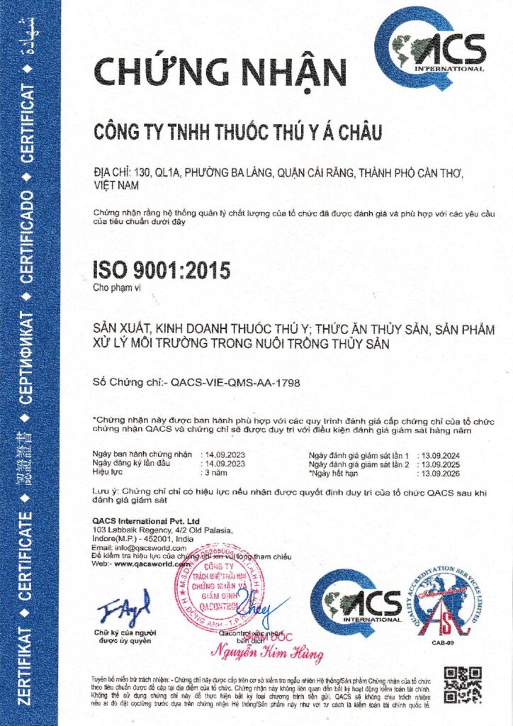 CERTIFICATE ISO 90012015 VN 1 pdf