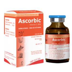 Ascorbic 20ml 01 01