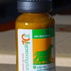 ENROFLOXACIN 10% | TRỊ NHIỄM TRÙNG CHÓ, MÈO DSC0887 scaled