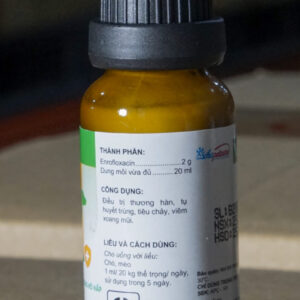 ENROFLOXACIN 10% | TRỊ NHIỄM TRÙNG CHÓ, MÈO DSC0888 scaled