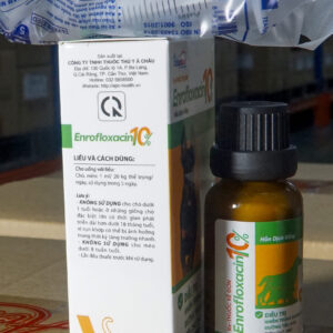 ENROFLOXACIN 10% | TRỊ NHIỄM TRÙNG CHÓ, MÈO DSC0890 scaled