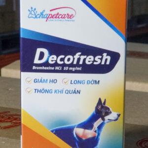 DECOFRESH DSC0895 scaled