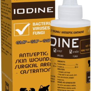 IODINE (Thuốc bôi) IODINE DD scaled