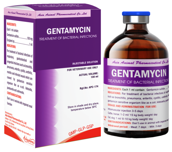 GENTAMYCIN