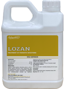 LOZAN