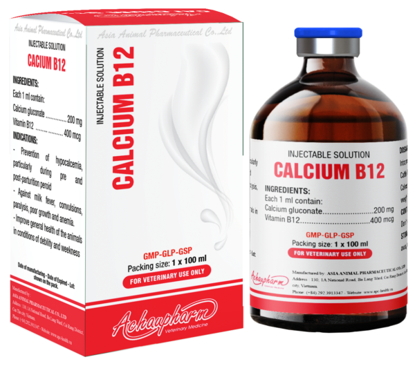 calcium b12