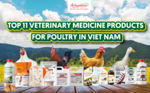 Top 11 veterinary medicine products for Poultry