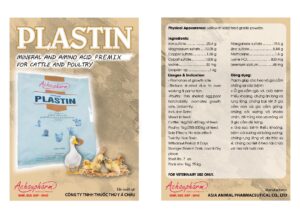 Plastin 1 1 pdf