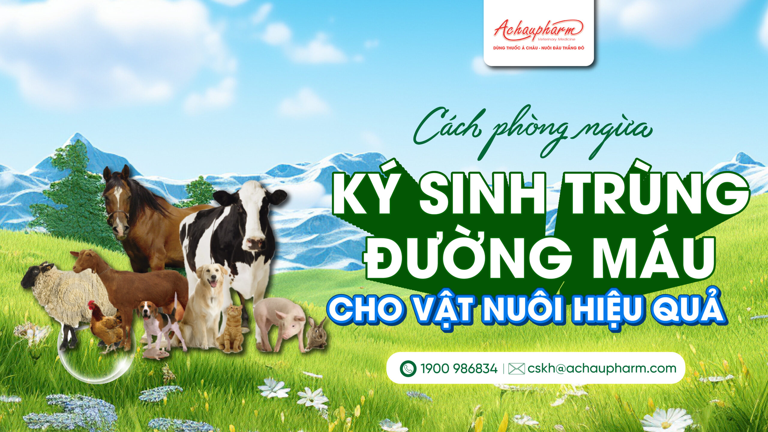 Cách phòng ngừa bệnh ký sinh trùng đường máu ở vật nuôi