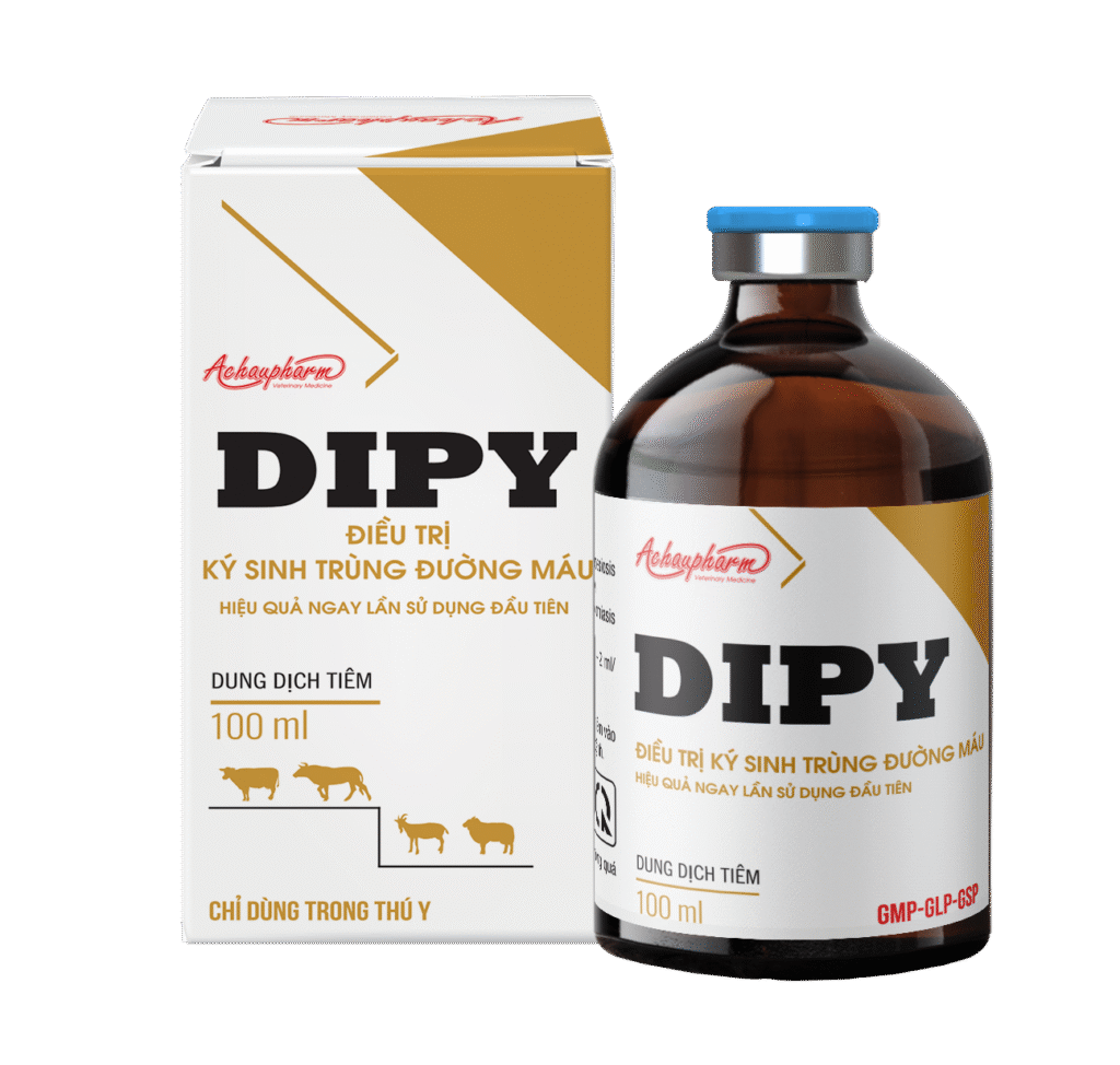 DIPY
