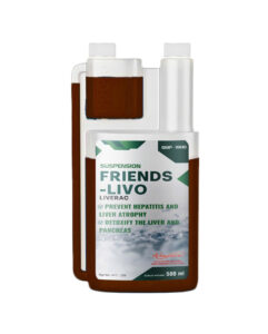 FRIENDS LIVO