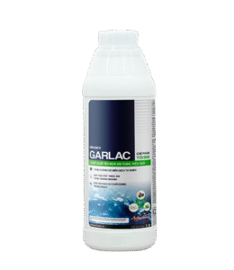 GARLAC 1