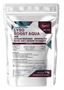 LYSO BOOST AQUA