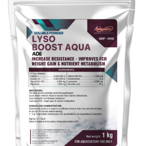 LYSO BOOST AQUA