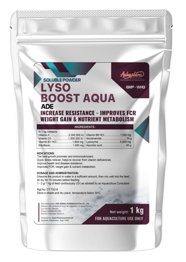LYSO BOOST AQUA
