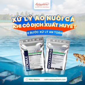 Cách xử lý ao nuôi khi cá bị xuất huyết?
