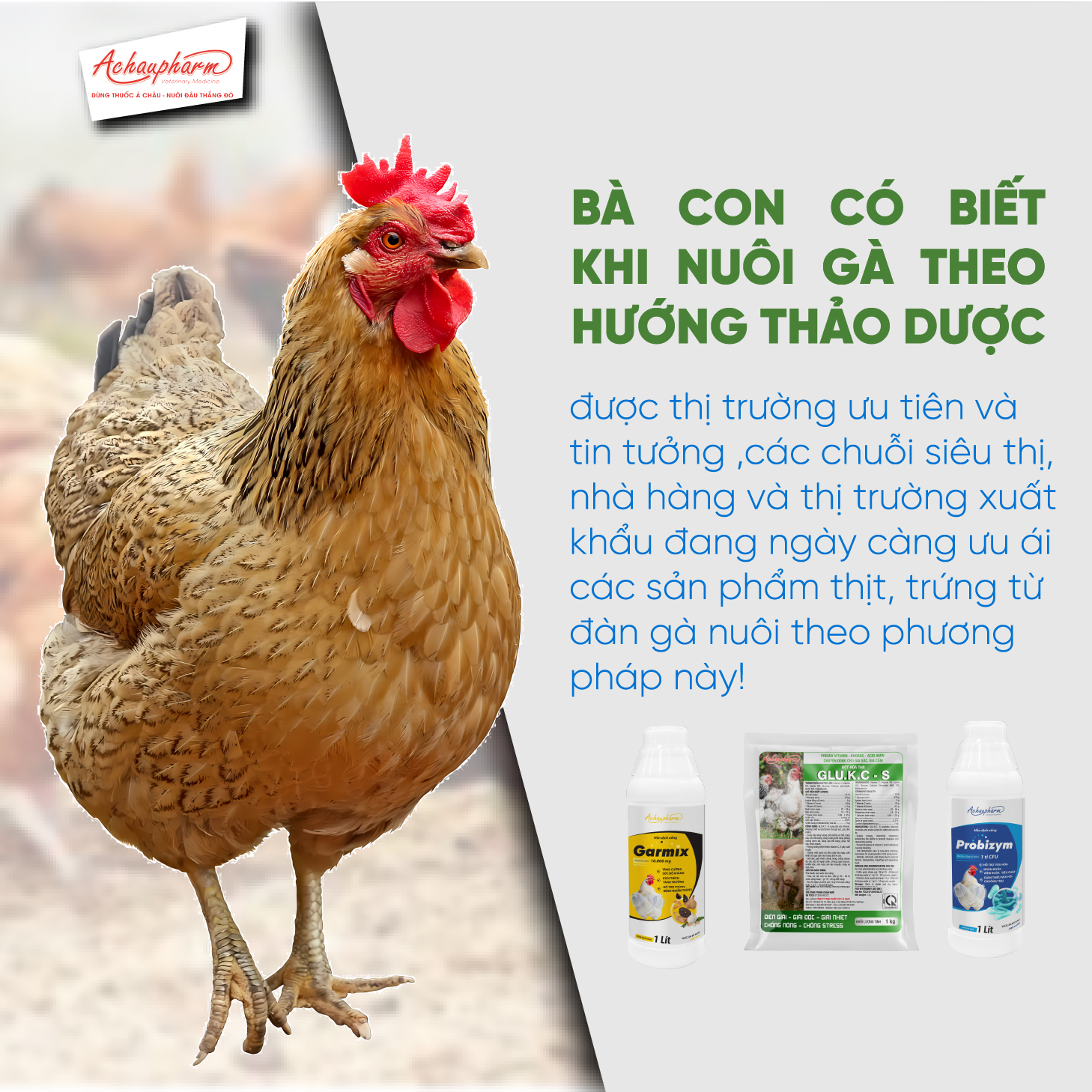 sản phẩm tăng miễn dịch cho gà