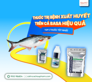 thuốc trị bệnh xuất huyết cho cá basa