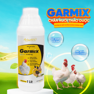ứng dụng của tỏi trong chăn nuôi gia cầm