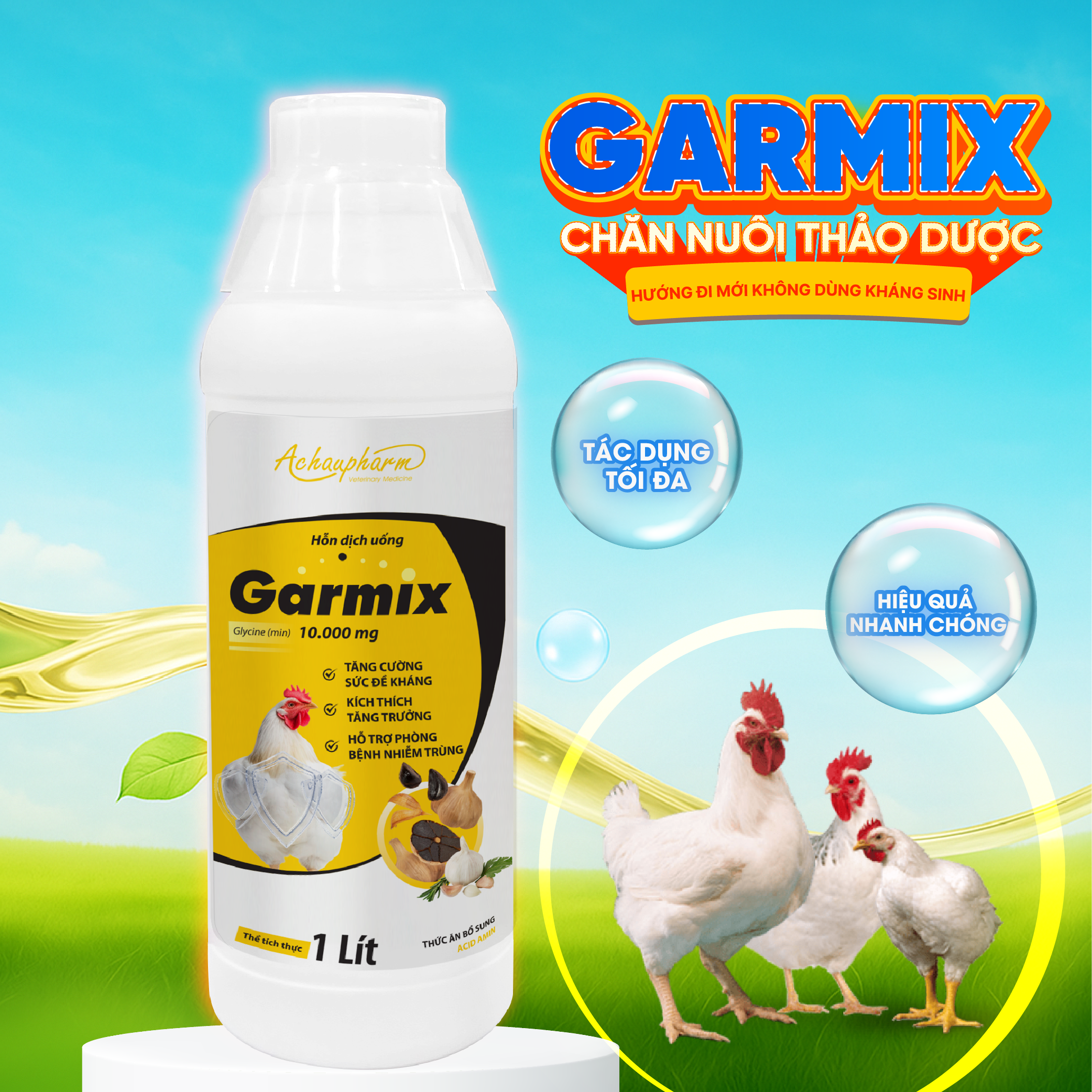 ứng dụng của tỏi trong chăn nuôi gia cầm