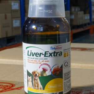 LIVER - EXTRA DSC0858 scaled