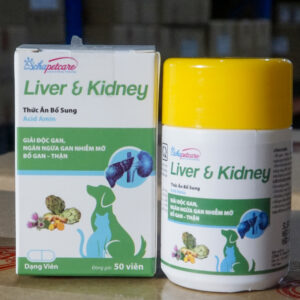 LIVER & KIDNEY
