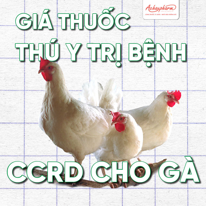 Giá thuốc trị CCRD cho gà 