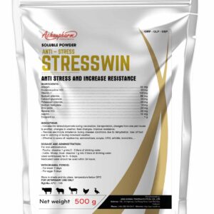 STRESSWIN STRESSWIN mockup