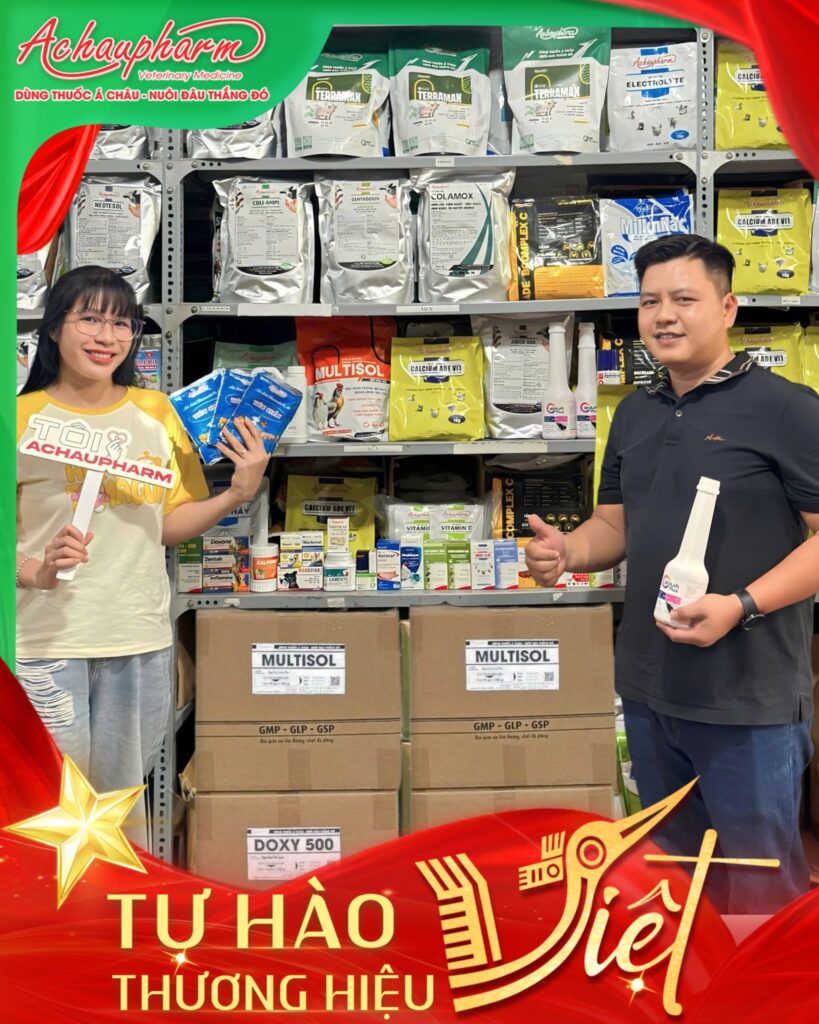 573309652 1414709703603309 7054504674247954665 n