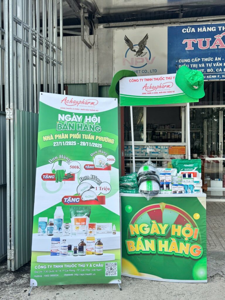 589185956 1435305018210444 3881343491079790383 n