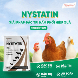 Bệnh nấm phổi trên gà