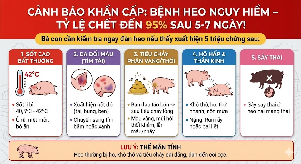 5 dau hieu benh pho thuong han