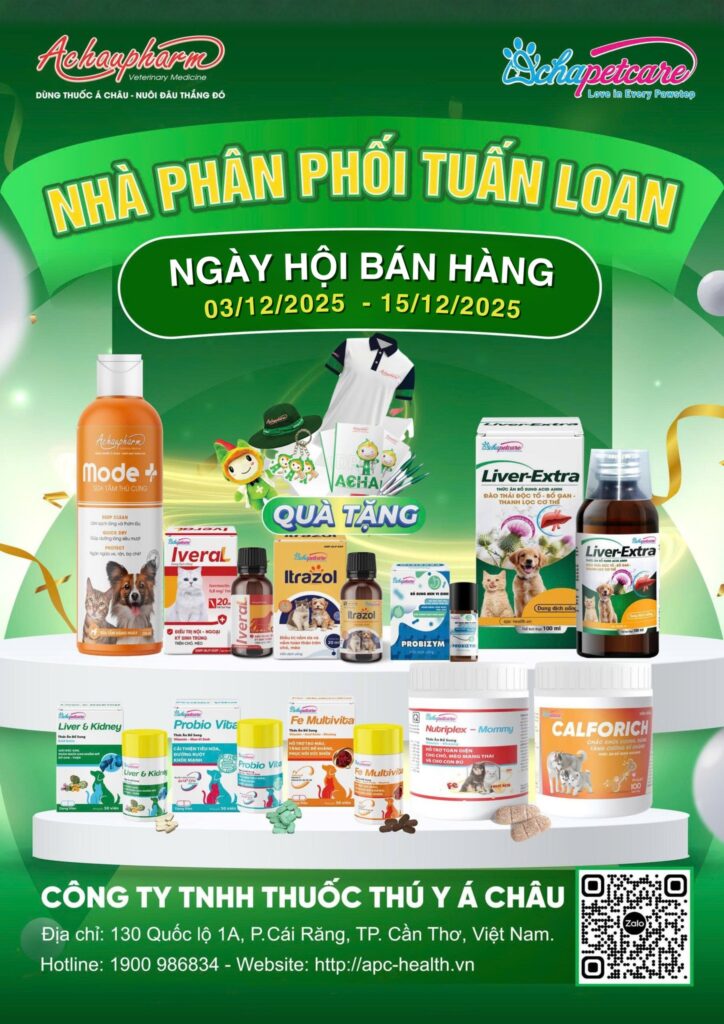 597147355 1445711090503170 1967106598405883193 n